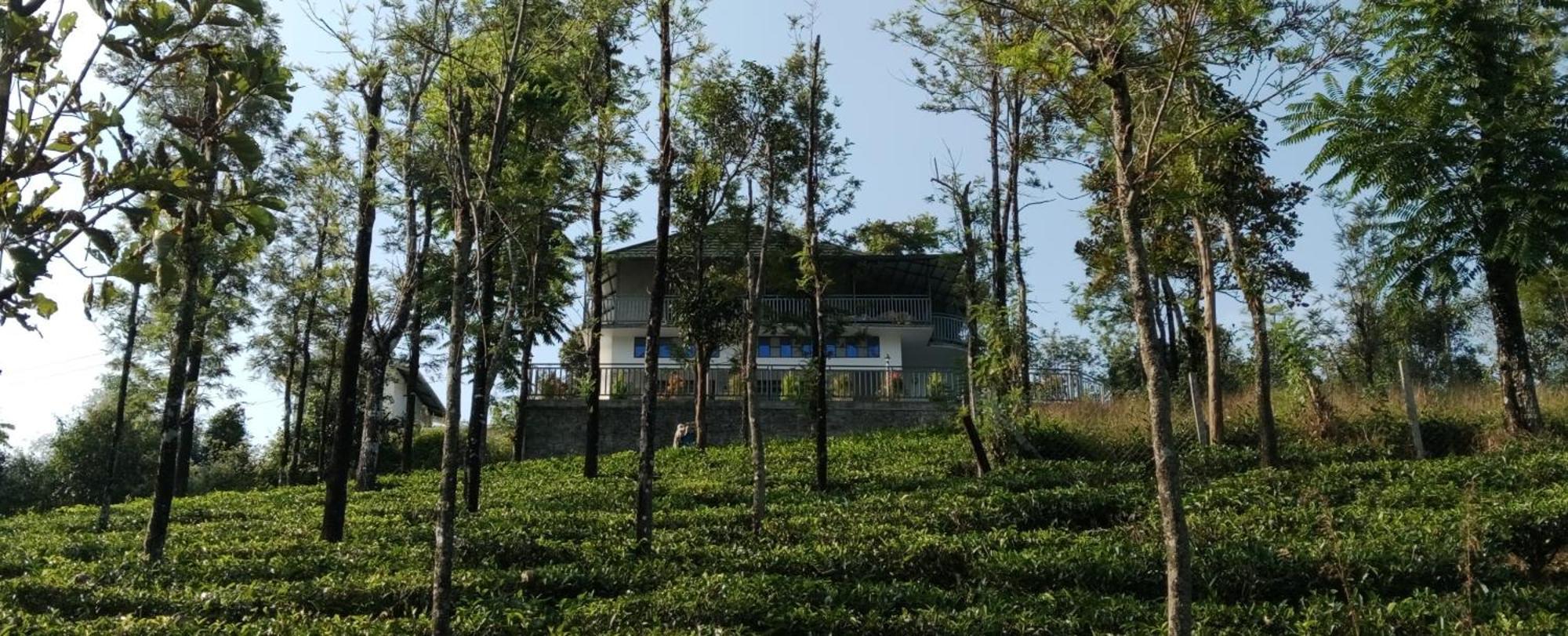 M R Holiday Home Vagamon Ngoại thất bức ảnh